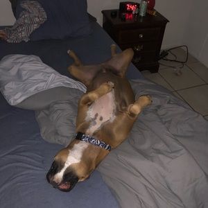 Meet your Posher, Robert